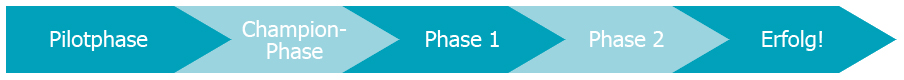 DE_Phases.jpg