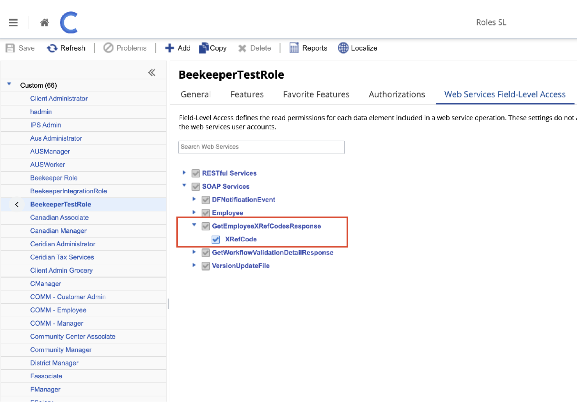 08_webServicesFieldLevelAccess1.png