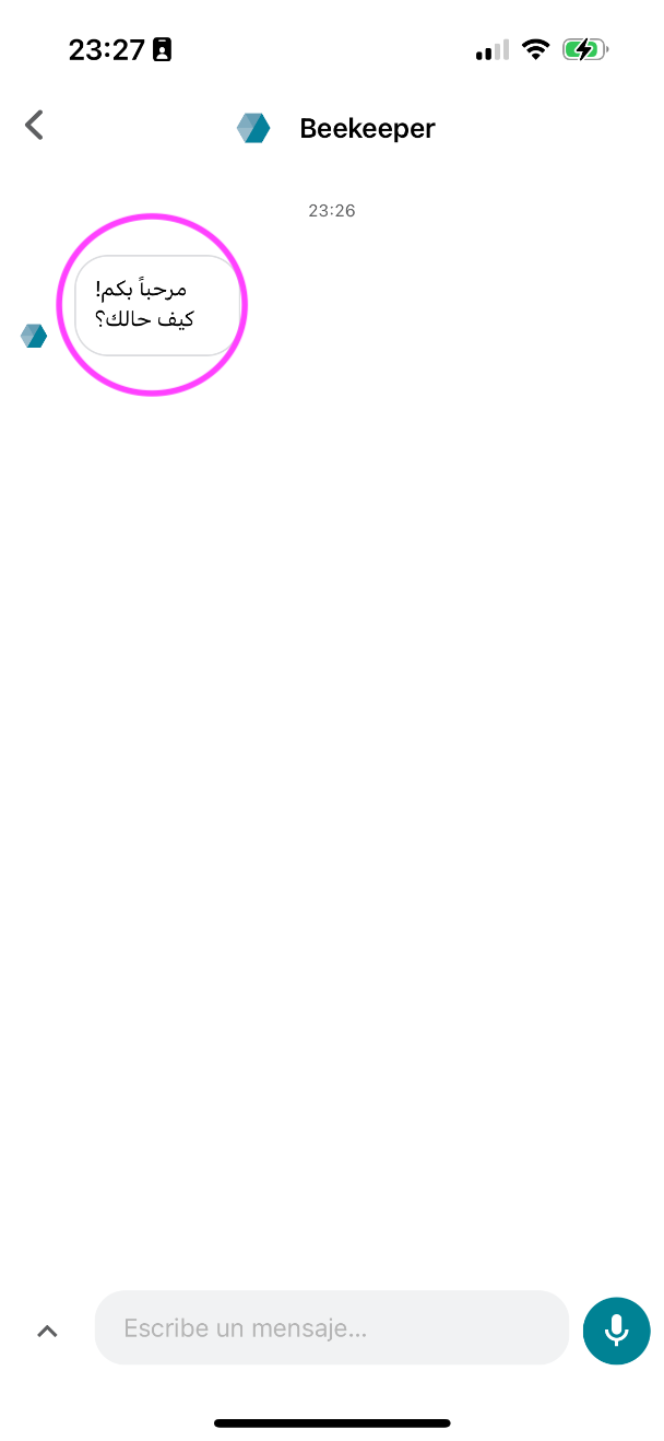 IMG_5498.png