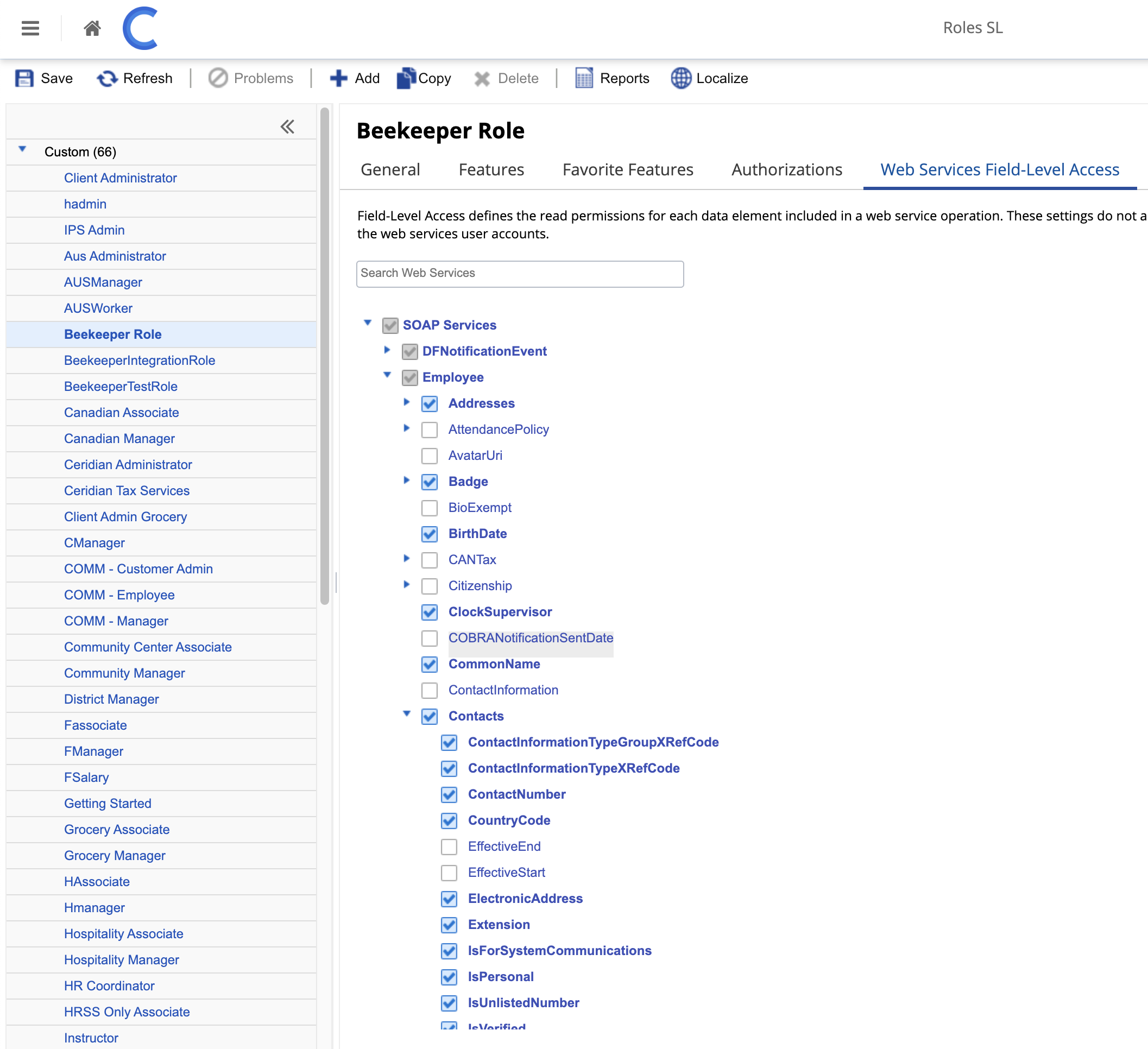 08_webServicesFieldLevelAccess2.png