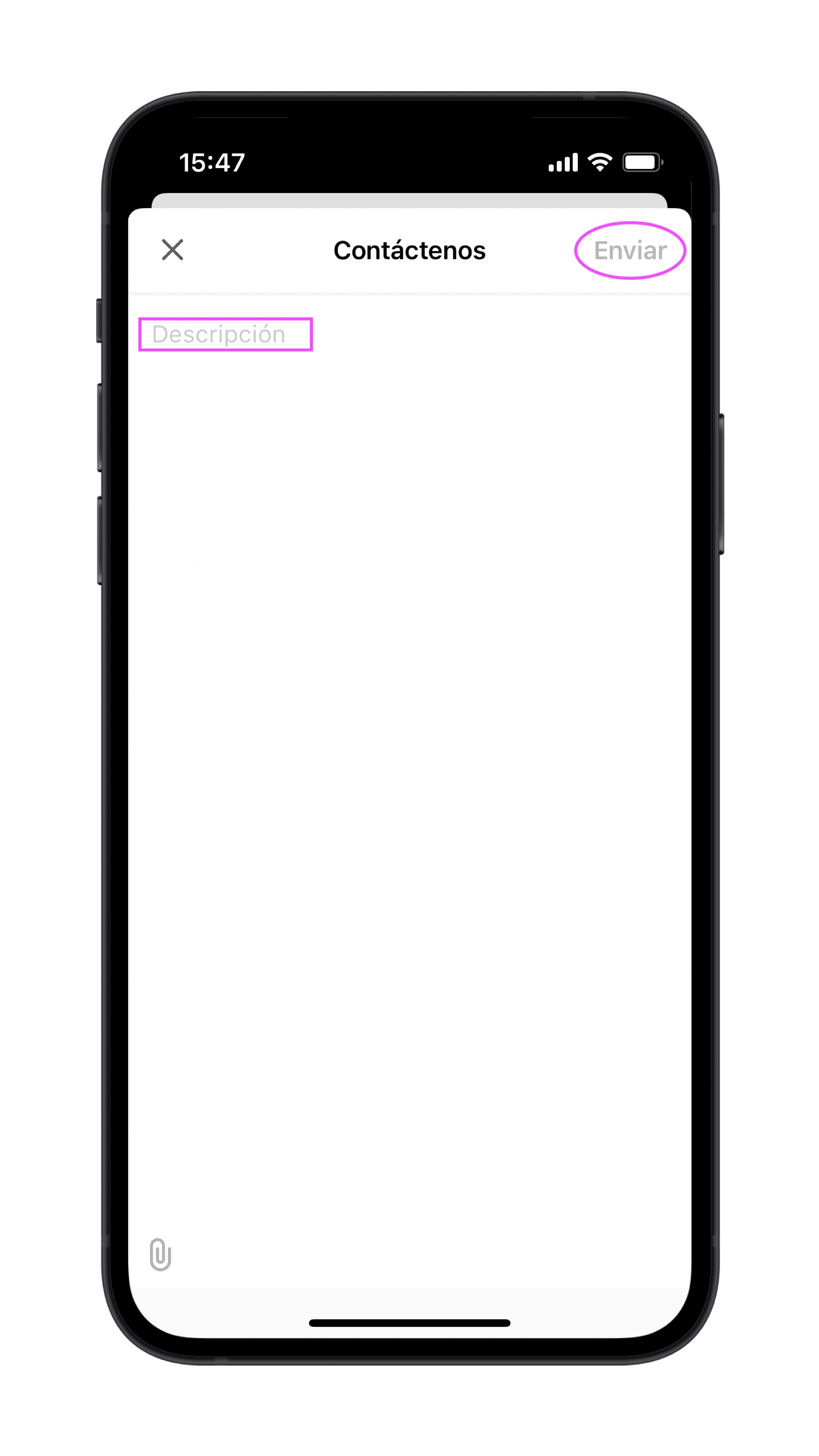 IMG_7004.PNG